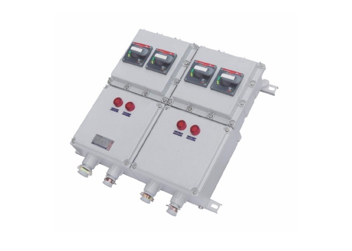 BXX系列防爆(动力检修)配电箱